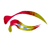 eye